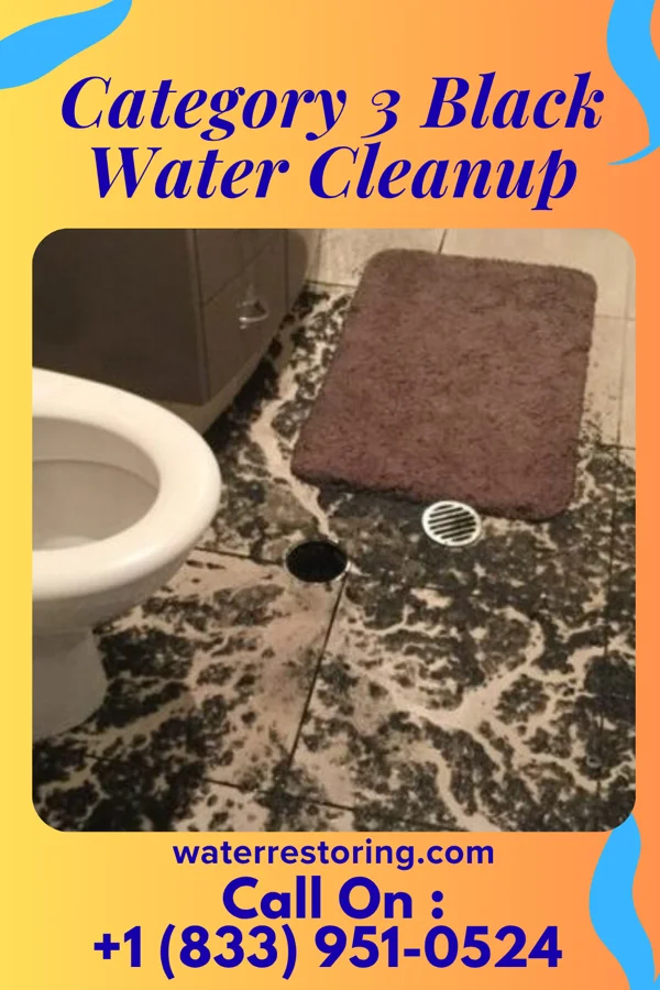 Category 3 Black Water Cleanup in New Castle Northwest, PA