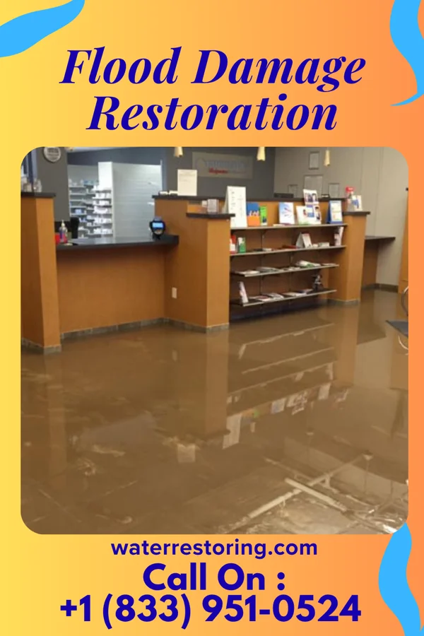 Flood Damage Restoration in New Castle Northwest, PA