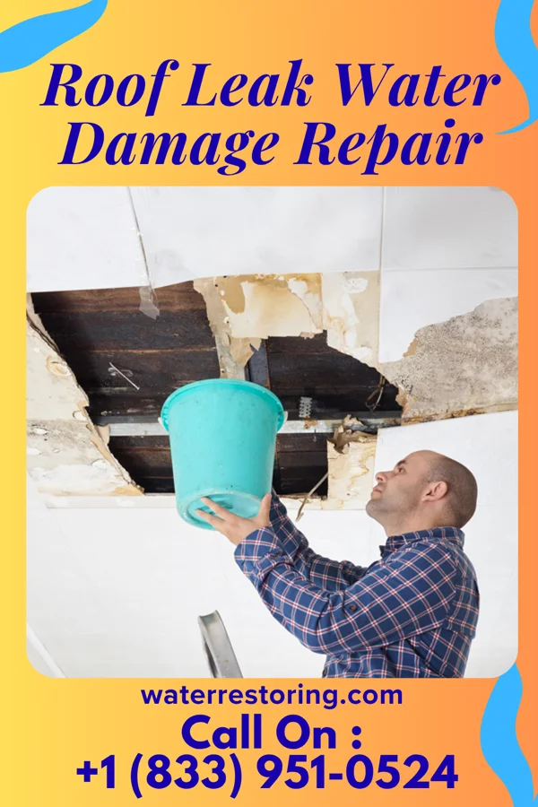 Roof Leak Water Damage Repair in New Castle Northwest, PA