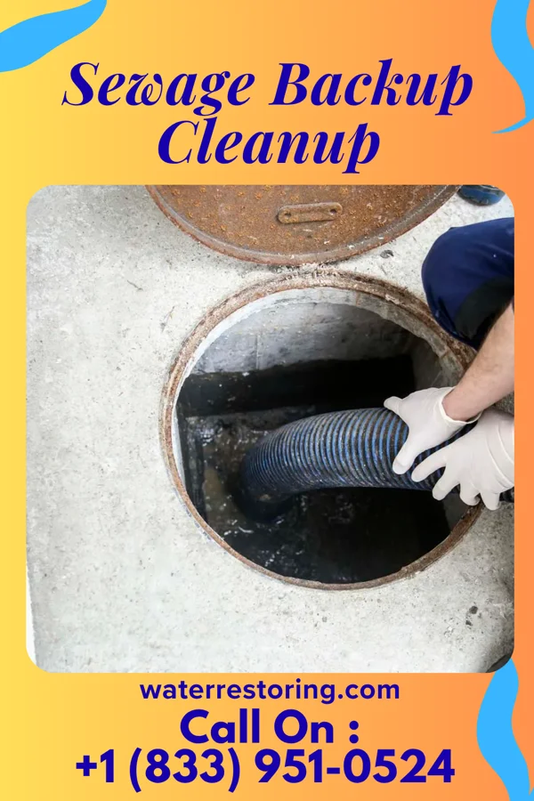 Sewage Backup Cleanup in New Castle Northwest, PA