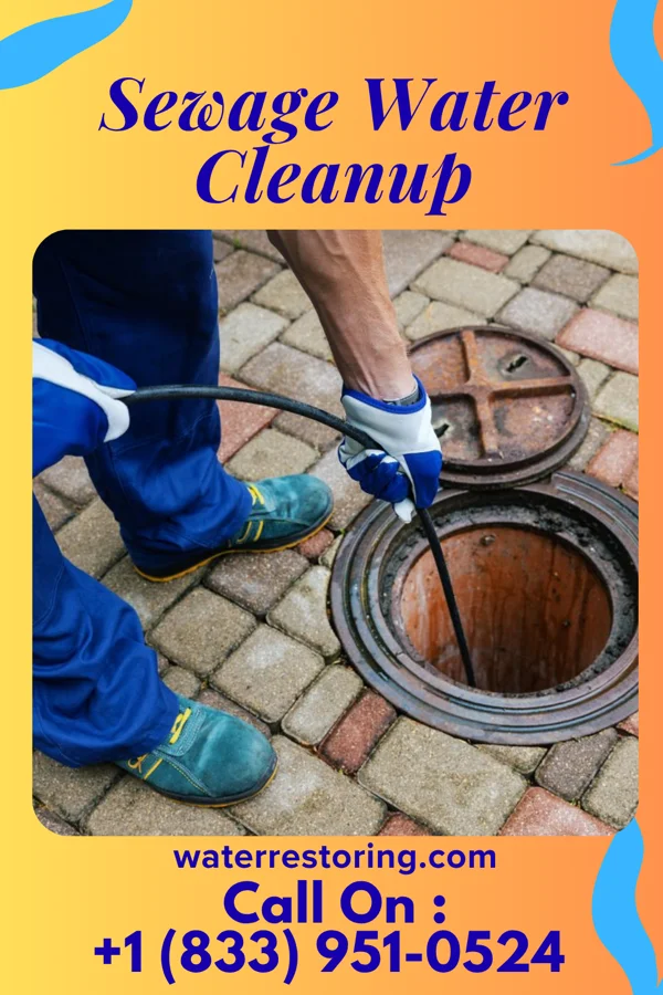 Sewage Water Cleanup in New Castle Northwest, PA