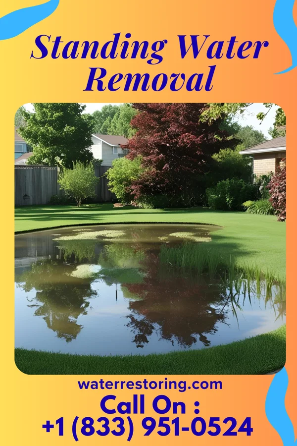 Standing Water Removal in New Castle Northwest, PA